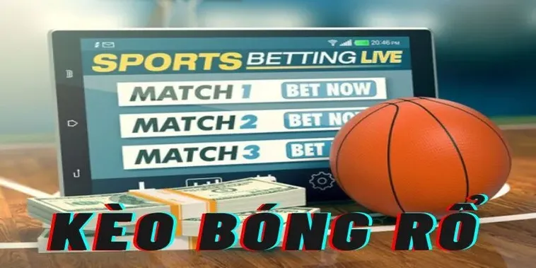 Tìm Hiểu Cá Cược Bóng Rổ WIN55: Khám Phá Sân Chơi Đỉnh Cao 2 Tìm Hiểu Cá Cược Bóng Rổ WIN55: Khám Phá Sân Chơi Đỉnh Cao
