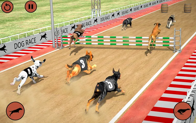 Hướng Dẫn Chơi Game Nhanh Đua Chó Tại WIN55 Hiệu Quả Nhất 2 Hướng Dẫn Chơi Game Nhanh Đua Chó Tại WIN55 Hiệu Quả Nhất