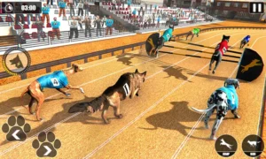 Hướng Dẫn Chơi Game Nhanh Đua Chó Tại WIN55 Hiệu Quả Nhất