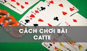 Hướng Dẫn Chơi Sắc Tê Tại Nhà Cái WIN55 Chuẩn Xác Nhất