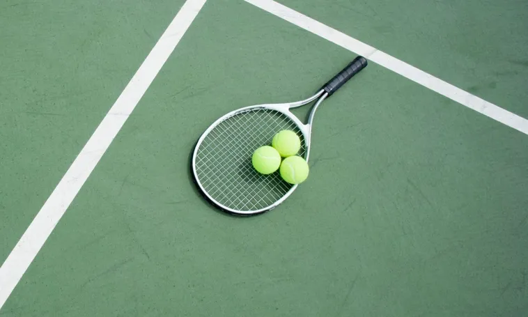 Khám Phá Cá Cược Quần Vợt WIN55 Đầy Hấp Dẫn